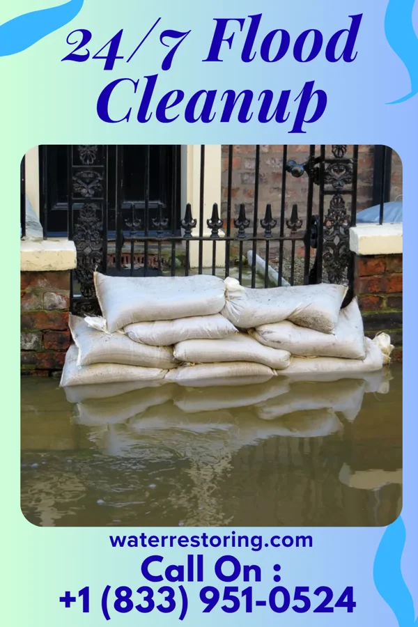 24/7 Flood Cleanup in Clio, IA