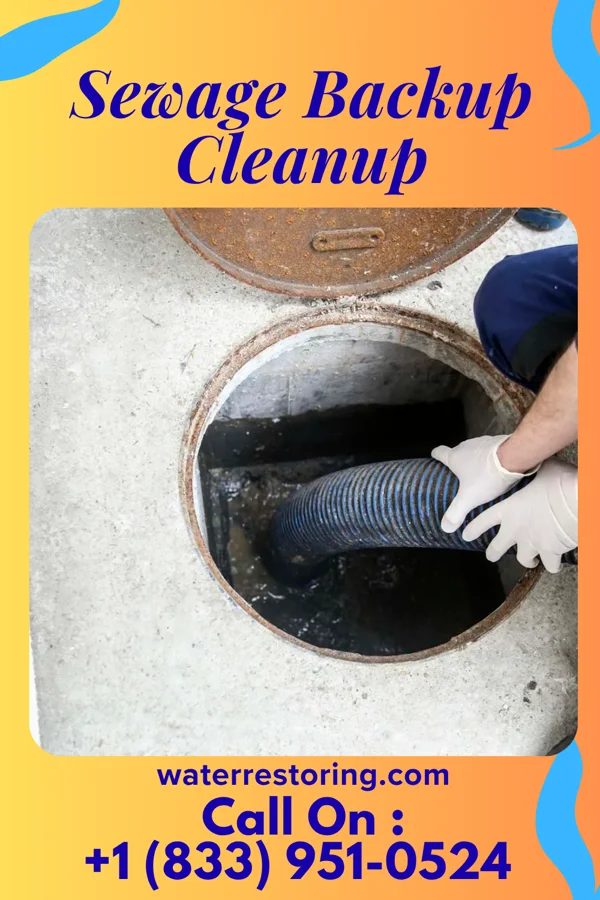 Sewage Backup Cleanup in Clio, IA